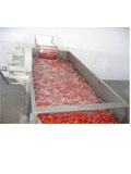 Food washing machine