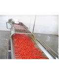 Food Sorting Machine